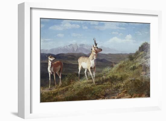 Antelope-Albert Bierstadt-Framed Giclee Print