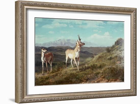 Antelope-Albert Bierstadt-Framed Giclee Print