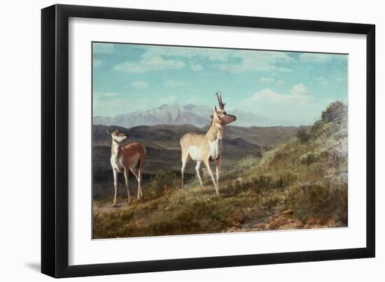 Antelope-Albert Bierstadt-Framed Giclee Print