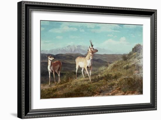 Antelope-Albert Bierstadt-Framed Giclee Print