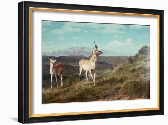 Antelope-Albert Bierstadt-Framed Giclee Print