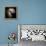 Antennae Galaxies, HST Image-null-Framed Premier Image Canvas displayed on a wall