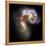 Antennae Galaxies, HST Image-null-Framed Premier Image Canvas