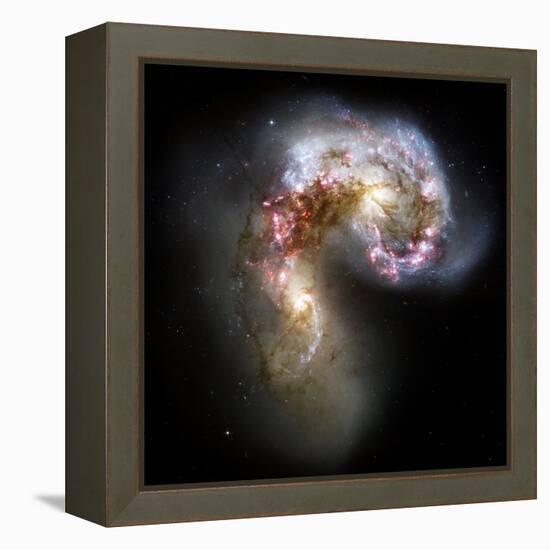 Antennae Galaxies, HST Image-null-Framed Premier Image Canvas