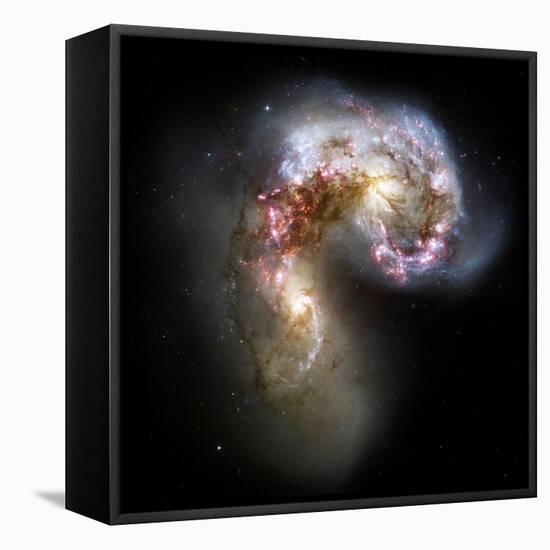 Antennae Galaxies, HST Image-null-Framed Premier Image Canvas