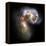 Antennae Galaxies, HST Image-null-Framed Premier Image Canvas