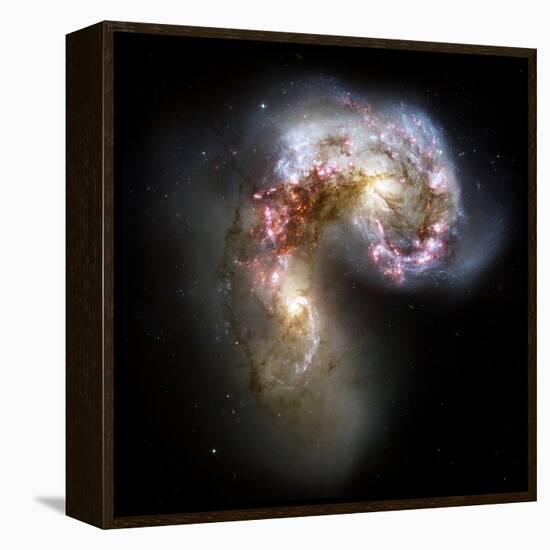 Antennae Galaxies, HST Image-null-Framed Premier Image Canvas