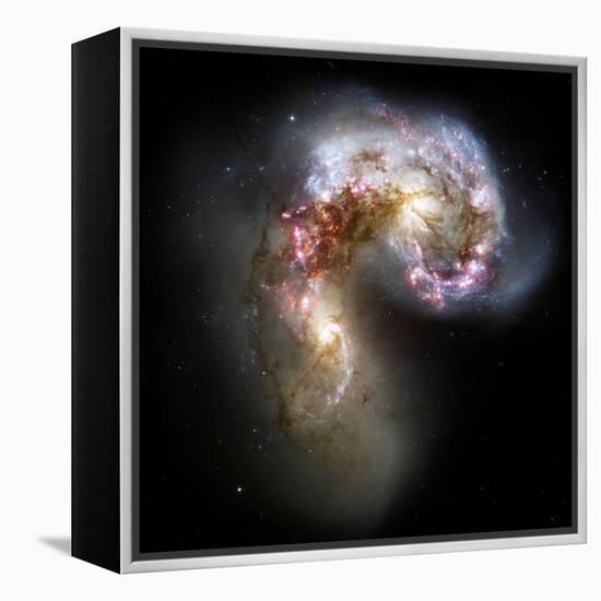 Antennae Galaxies, HST Image-null-Framed Premier Image Canvas