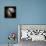 Antennae Galaxies, HST Image-null-Framed Premier Image Canvas displayed on a wall