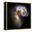 Antennae Galaxies, HST Image-null-Framed Premier Image Canvas