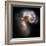 Antennae Galaxies, HST Image-null-Framed Premium Photographic Print