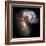 Antennae Galaxies, HST Image-null-Framed Premium Photographic Print