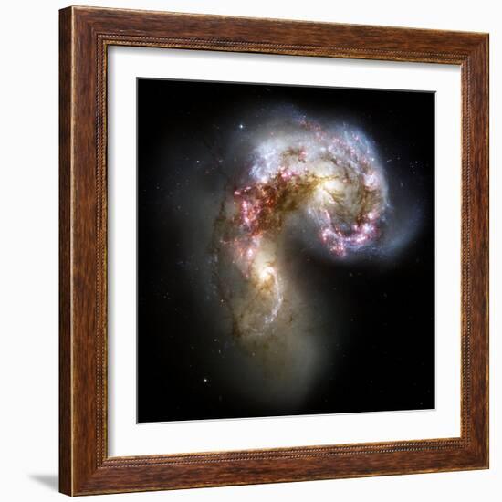 Antennae Galaxies, HST Image-null-Framed Premium Photographic Print