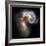 Antennae Galaxies, HST Image-null-Framed Premium Photographic Print