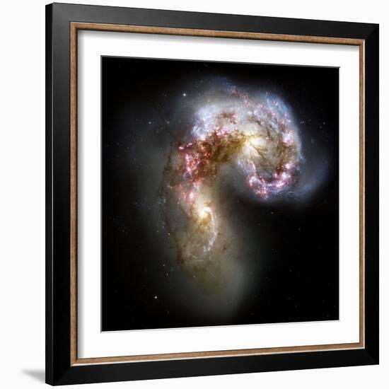 Antennae Galaxies, HST Image-null-Framed Premium Photographic Print