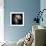 Antennae Galaxies, HST Image-null-Framed Premium Photographic Print displayed on a wall