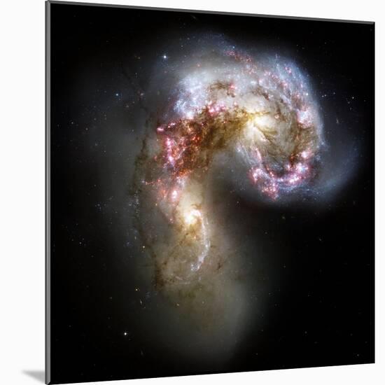 Antennae Galaxies, HST Image-null-Mounted Premium Photographic Print