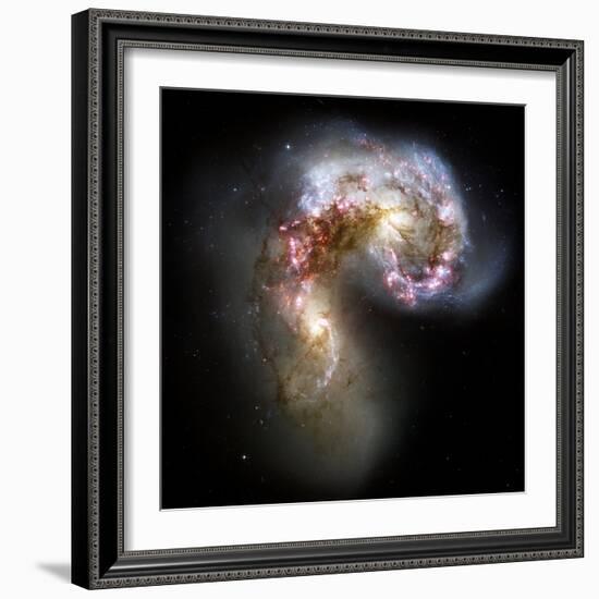 Antennae Galaxies, HST Image-null-Framed Premium Photographic Print