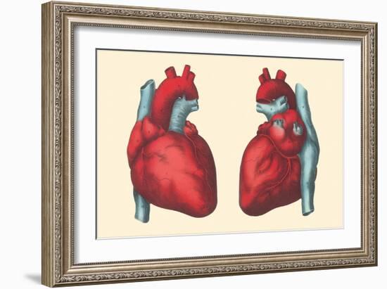 Anterior and Posterior Views of the Heart-Found Image Press-Framed Giclee Print