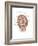 Anterior Neck and Facial Muscles of the Human Head (With Labels)-null-Framed Premium Giclee Print