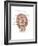 Anterior Neck and Facial Muscles of the Human Head (With Labels)-null-Framed Premium Giclee Print