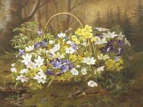 Anemones and Primroses in a Basket-Anthonore Christensen-Giclee Print