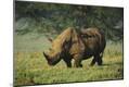 Photographic Print
