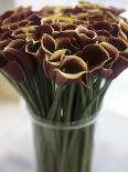 Red Calla Lilies in a Vase-Anthony Lanneretonne-Mounted Photographic Print