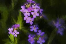 Digital art wild purple flowers-Anthony Paladino-Giclee Print