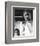 Anthony Quinn-null-Framed Photo