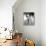 Anthony Quinn-null-Framed Stretched Canvas displayed on a wall