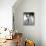 Anthony Quinn-null-Framed Stretched Canvas displayed on a wall