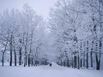 Catherine's Park in February, Tsarske Seloe (Puskin), St. Petersburg, Russia-Anthony Waltham-Photographic Print