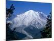 Premium Photographic Print