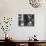 Anthropologist Dr. Margaret Mead Studying a Decorated Tchambul Skull-John Loengard-Mounted Premium Photographic Print displayed on a wall