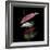 Anthurium 2-Magda Indigo-Framed Photographic Print