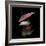 Anthurium 2-Magda Indigo-Framed Photographic Print