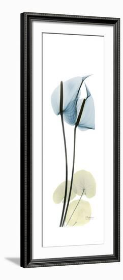 Anthurium Blues-Albert Koetsier-Framed Premium Giclee Print