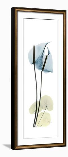 Anthurium Blues-Albert Koetsier-Framed Premium Giclee Print