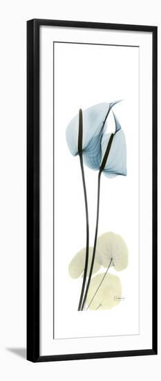 Anthurium Blues-Albert Koetsier-Framed Premium Giclee Print