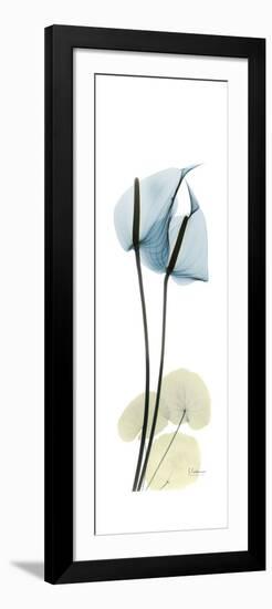 Anthurium Blues-Albert Koetsier-Framed Premium Giclee Print