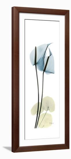 Anthurium Blues-Albert Koetsier-Framed Premium Giclee Print