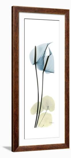 Anthurium Blues-Albert Koetsier-Framed Premium Giclee Print