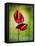 Anthurium, Flower, Blossoms, Still Life, Red, Green-Axel Killian-Framed Premier Image Canvas