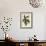 Anthurium Palmatum (Five-Leaved Pothos, Pothos Pentaphylla)-Sydenham Teast Edwards-Framed Giclee Print displayed on a wall