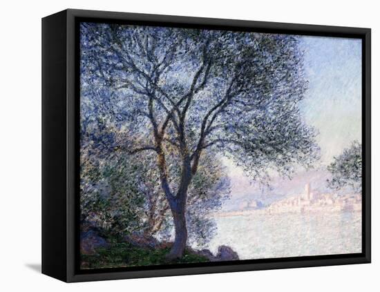 Antibes Seen from the Salis, 1888-Claude Monet-Framed Premier Image Canvas