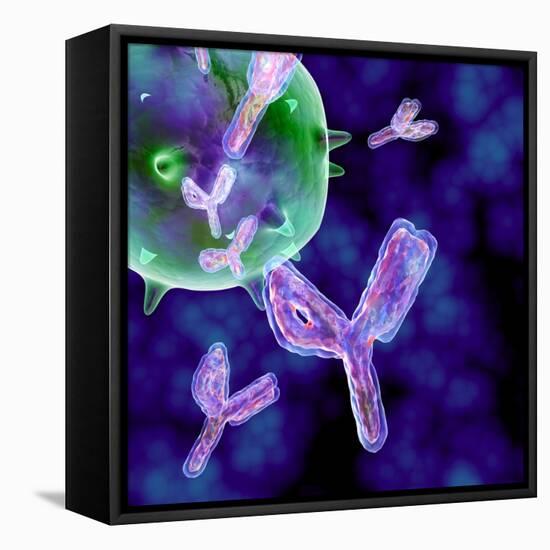 Antibodies, Artwork-PASIEKA-Framed Premier Image Canvas