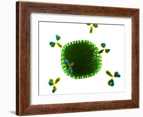 Antibodies Attacking Flu Virus, Artwork-SCIEPRO-Framed Photographic Print