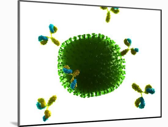 Antibodies Attacking Flu Virus, Artwork-SCIEPRO-Mounted Photographic Print