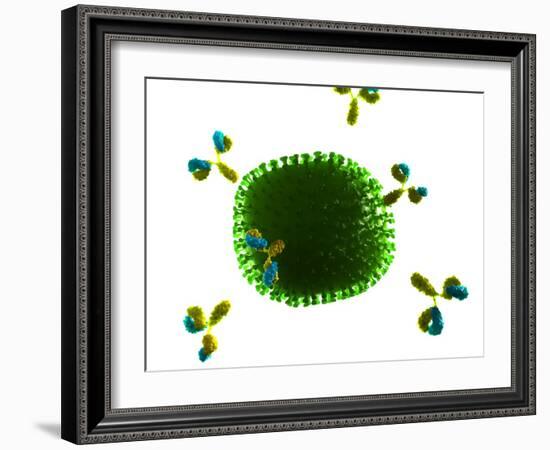 Antibodies Attacking Flu Virus, Artwork-SCIEPRO-Framed Photographic Print